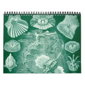 Ernst Haeckel, Biology, Botany, Science Kalender (Hoes)