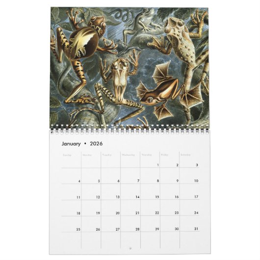  Ernst Haeckel, Biology, Botany, Science Kalender (Jan 2026)