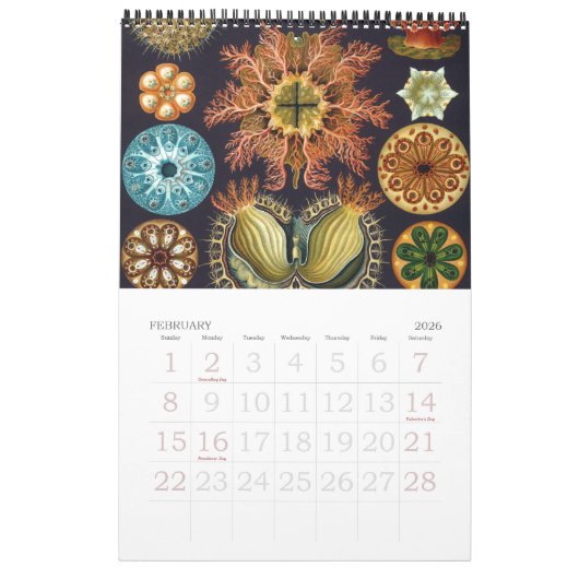  Ernst Haeckel, Biology, Botany, Science Kalender (Feb 2026)