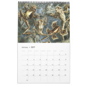  Ernst Haeckel, Biology, Botany, Science Kalender (Jan 2027)