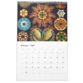  Ernst Haeckel, Biology, Botany, Science Kalender (Feb 2027)