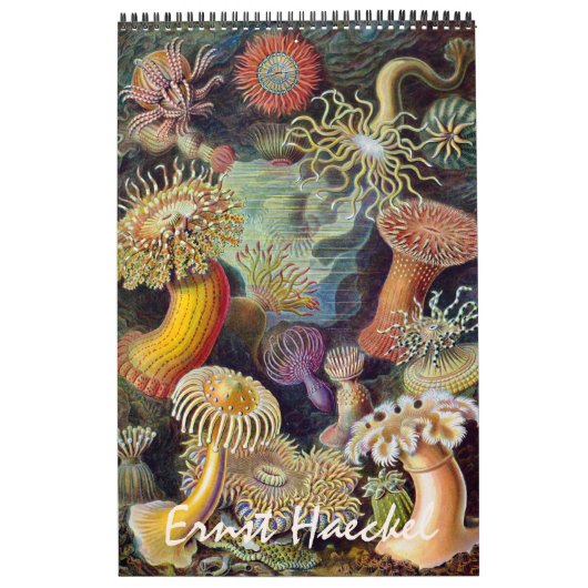 Ernst Haeckel, Biology, Botany, Science Kalender (Hoes)
