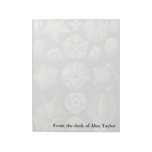 Ernst Haeckel Blastoidea Notitieblok