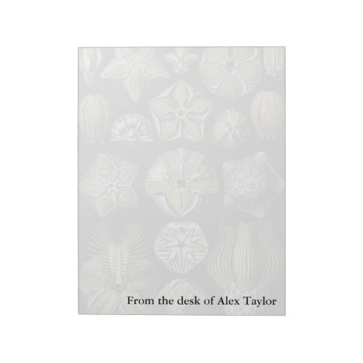 Ernst Haeckel Blastoidea Notitieblok (Gedraaid)