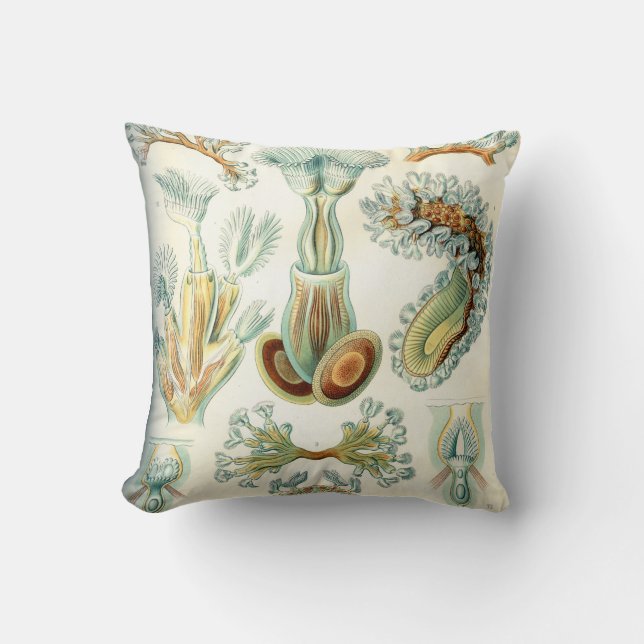 Ernst Haeckel Bryozoa ongewervelde dieren Kussen (Voorkant)