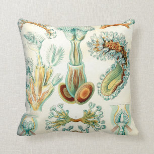 Ernst Haeckel Bryozoa ongewervelde dieren Kussen