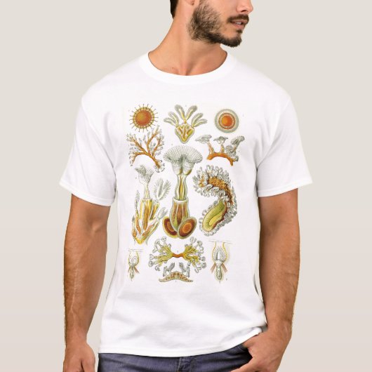 Ernst Haeckel - Bryozoa Tshirt (Voorkant)