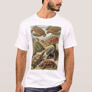 Ernst Haeckel - Chelonia T-shirt