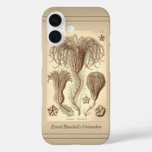 Ernst Haeckel Crinoids- Volledige pagina iPhone 16 Hoesje