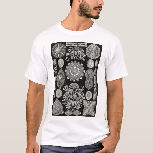 Ernst Haeckel - Diatomea2 T-shirt (Voorkant)