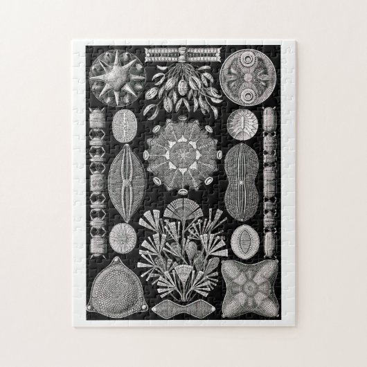 Ernst Haeckel Diatomea Legpuzzel (Verticaal)