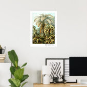 Ernst Haeckel Filicinae Poster (Thuiskantoor)