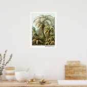Ernst Haeckel Filicinae Poster (Keuken)