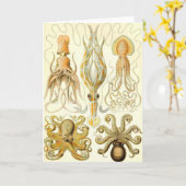 Ernst Haeckel - Gamochonia Kaart (Gele Bloem)