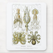 Ernst Haeckel Gamochonia Octopus & Squid Muismat (Voorkant)