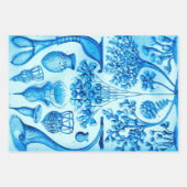  Ernst Haeckel herkleurde het zeeleven Inpakpapier Vel (Voorkant 2)