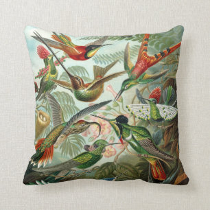 Ernst Haeckel ~ Hummingbird Cushions Kussen