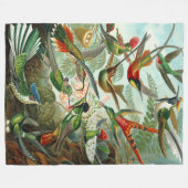 Ernst Haeckel Hummingbird Fleece Deken (Voorkant (Horizontaal))