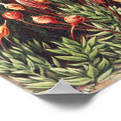 Ernst Haeckel Impression de la nature de la mousse (Coin)