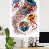 Ernst Haeckel Jellyfish Poster (Thuiskantoor)