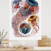 Ernst Haeckel Jellyfish Poster (Keuken)