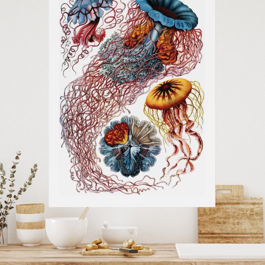 Ernst Haeckel Jellyfish Poster (Keuken)