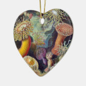 Ernst Haeckel Keramisch Ornament (Links)