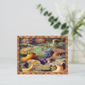 Ernst Haeckel Kunstdruk: Actiniae Briefkaart (Staand voorkant)