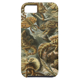 Ernst Haeckel - Lacertilia Tough iPhone 5 Hoesje