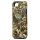 Ernst Haeckel - Lacertilia Case-Mate iPhone Case (Achterkant Links)