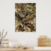 Ernst Haeckel - Lacertilia Lizards Poster (Keuken)