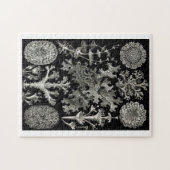 Ernst Haeckel Lichens Legpuzzel (Horizontaal)