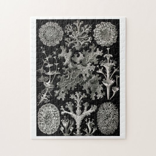 Ernst Haeckel Lichens Legpuzzel (Verticaal)
