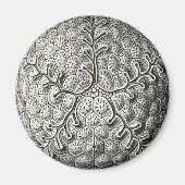 Ernst Haeckel Magneet (Voorkant)