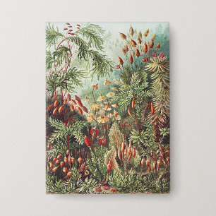 Ernst Haeckel Mos Natuurprint Donkere Academica Button