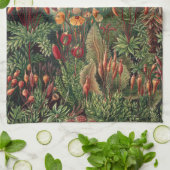 Ernst Haeckel Moss Poster Hoesje-Mate iPhone Theedoek (Gevouwen)
