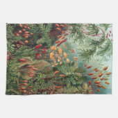 Ernst Haeckel Moss Poster Hoesje-Mate iPhone Theedoek (Horizontaal)