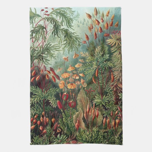 Ernst Haeckel Moss Poster Hoesje-Mate iPhone Theedoek (Verticaal)