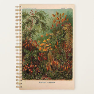 Ernst Haeckel Muscinae  illustratie Planner