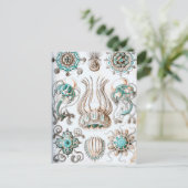 Ernst Haeckel Narcomedusae kwallen! Briefkaart (Staand voorkant)