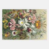 Ernst Haeckel Nature Feuilles de papier enveloppan (Devant 3)