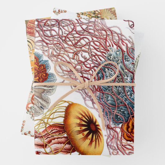 Ernst Haeckel Ocean Wrapping Paper Sheets (In situ)