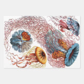 Ernst Haeckel Ocean Wrapping Paper Sheets (Voorkant)