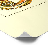 Ernst Haeckel Octopus Poster (Hoek)