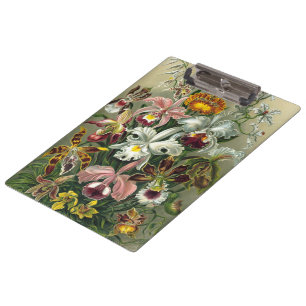 Ernst Haeckel Orchideeën, Oude Regenwoud Bloemen Klembord