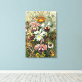 Ernst Haeckel Orchids,  regenwoudbloemen Canvas Afdruk (Insitu (Houten vloer))
