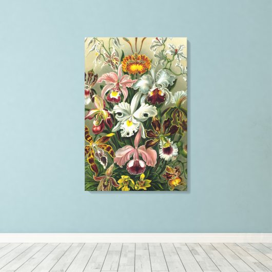 Ernst Haeckel Orchids,  regenwoudbloemen Canvas Afdruk (Insitu (Houten vloer))
