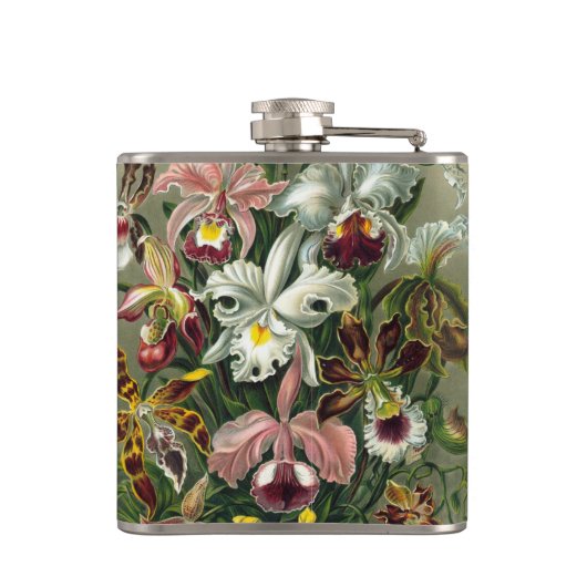 Ernst Haeckel Orchids, regenwoudbloemen Heupfles (Achterkant)