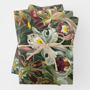 Ernst Haeckel Orchids,  regenwoudbloemen Inpakpapier Vel