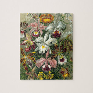 Ernst Haeckel Orchids,  regenwoudbloemen Legpuzzel